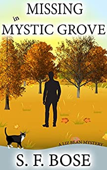 Missing in Mystic Grove (A Liz Bean Mystery Book 1)